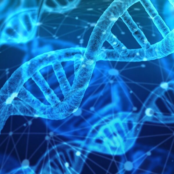 DNA testing genomics methylation