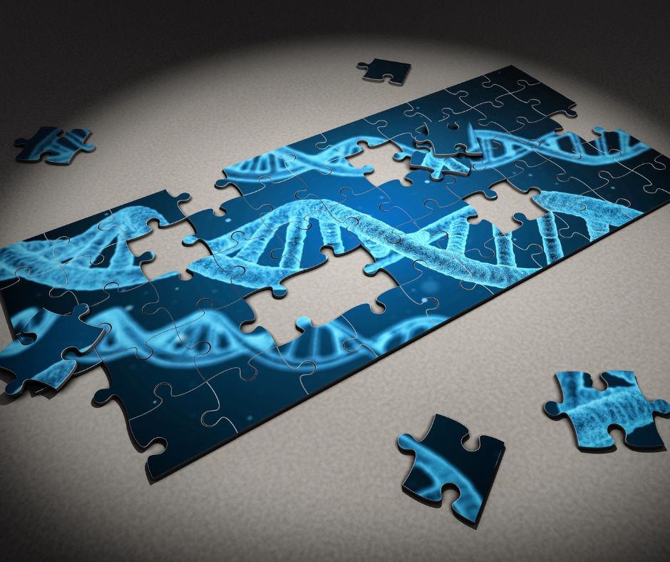 Dietary DNA Test piecing the puzzle together